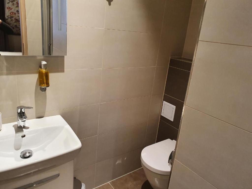 461 Apartment Modrice